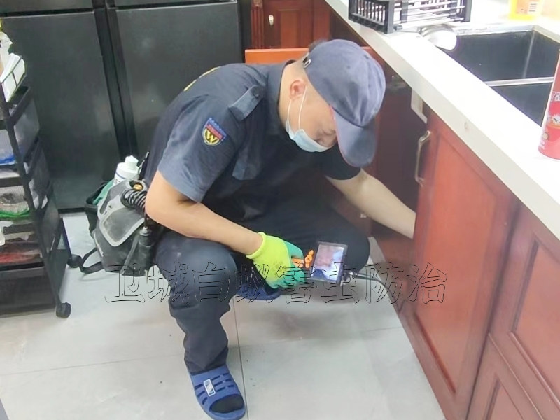 揭阳市揭西县灭白蚁公司(高效专业服务团队  )揭西白蚁防治中心