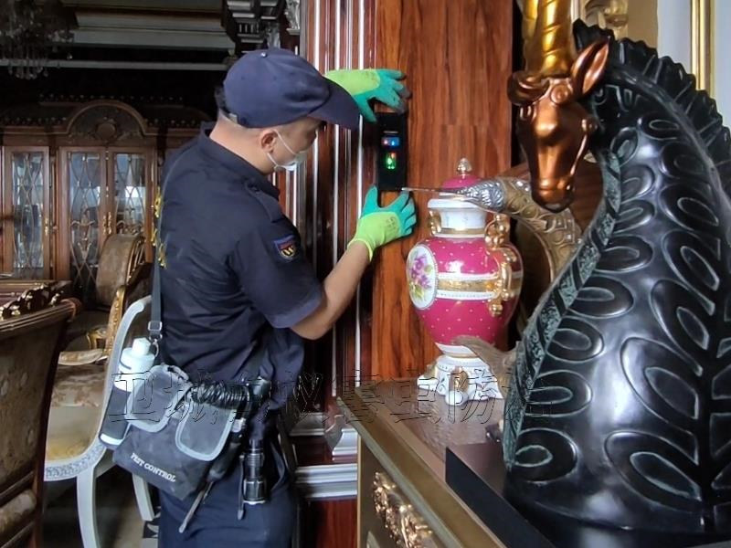 普宁市杀白蚁公司_普宁消杀白蚁服务_普宁市白蚁防治服务引领高质量