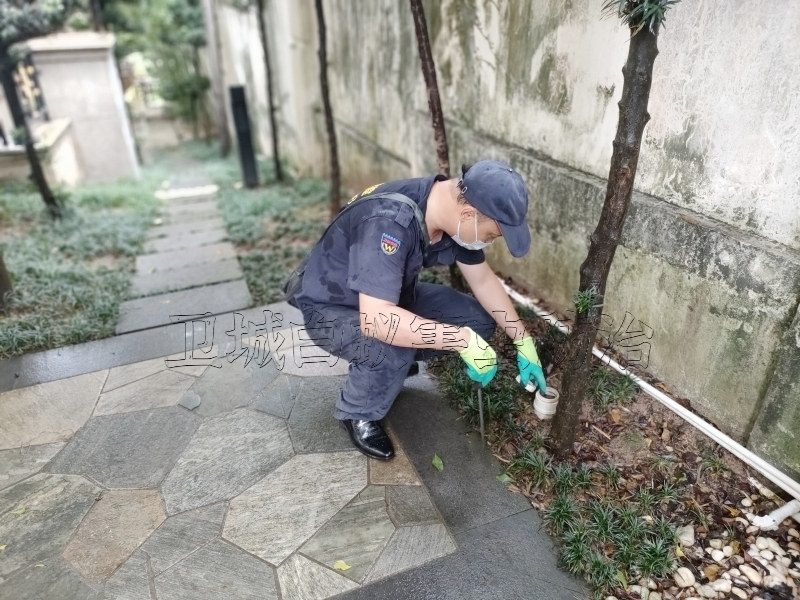潮州湘桥区白蚁防治中心_湘桥区灭白蚁公司本地师傅优质服务商 _潮州市卫城白蚁防治有限公司