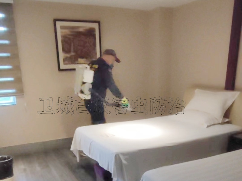 惠州市惠城区小金口白蚁防治中心 - 白蚁肆意破坏珍贵书画纸张藏品