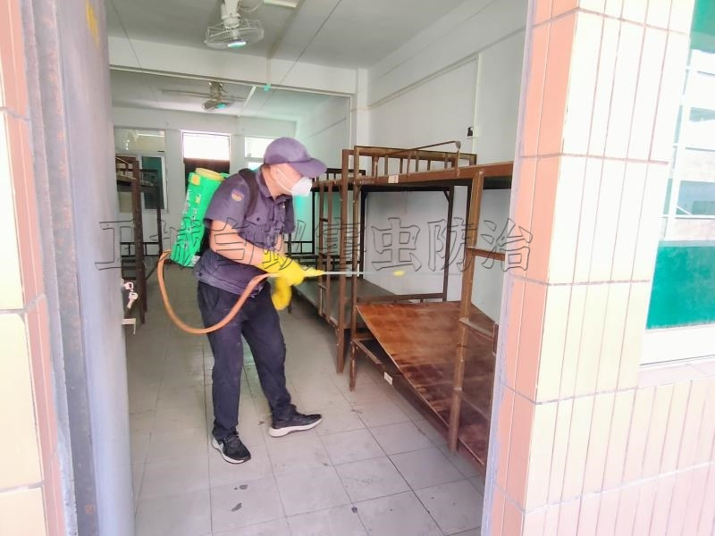 惠州市惠城区江北白蚁防治中心 - 蚁后繁殖后代过程中的环境因素调控策略
