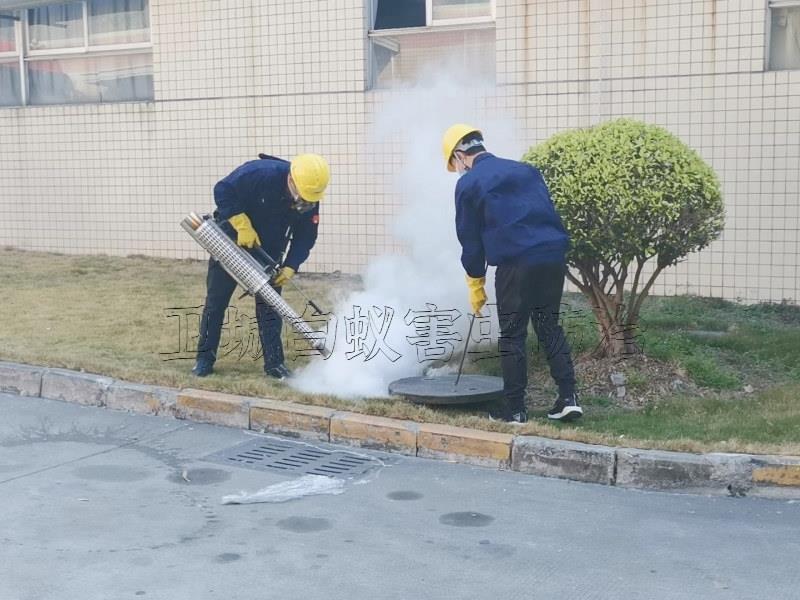 东莞谢岗除四害服务机构单位｛谢岗臭虫防治服务｝市政推荐谢岗镇杀虫公司