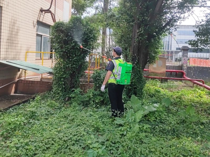 惠州市博罗县罗阳镇白蚁防治中心