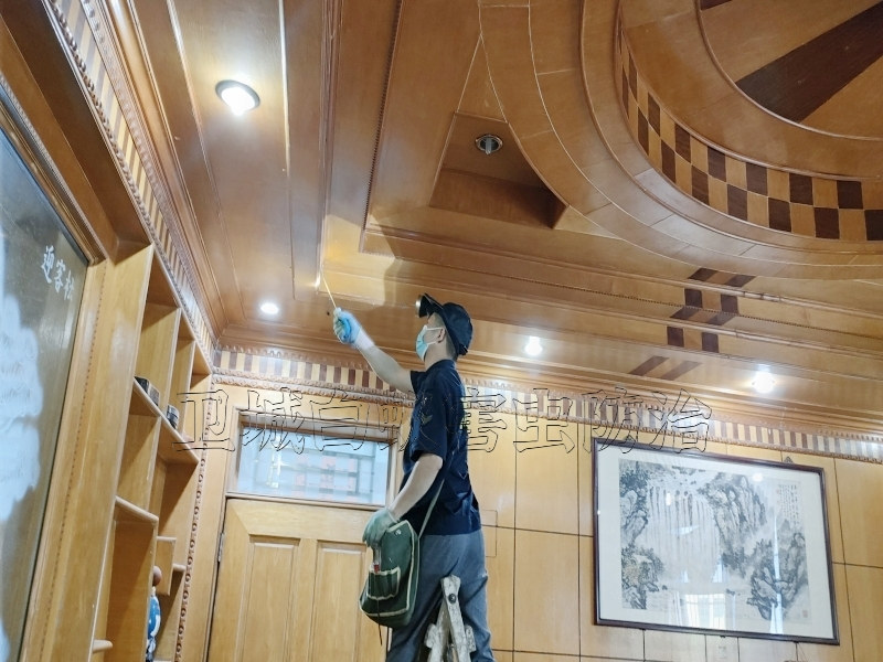 朱村白蚁防治杀灭白蚁,增城朱村灭白蚁公司,朱村杀白蚁
